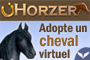Horzer : jeu gratuit sur Internet, s\'occuper d\'un cheval